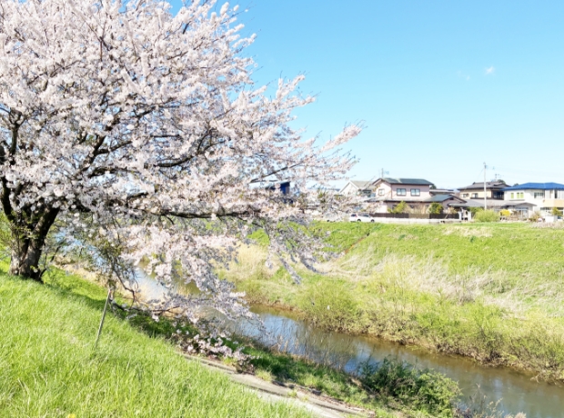 太平川