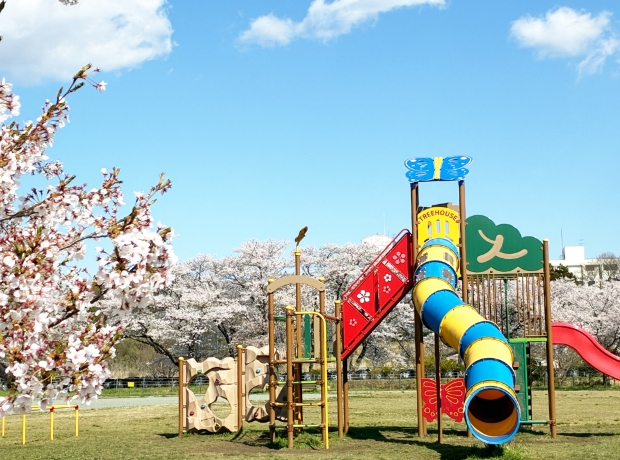 広面近隣公園